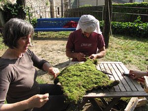 Girona Temps de Flors 2014. Preparació dels muntatges florals
