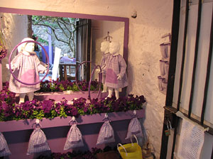 Girona Temps de Flors 2014. Preparació dels muntatges florals