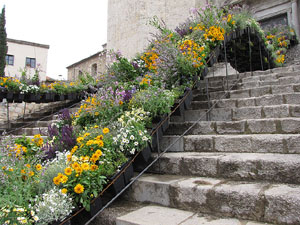 Girona Temps de Flors 2014. L'esgl&eacute;sia de Sant Feliu