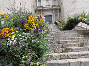 Girona Temps de Flors 2014. L'esgl&eacute;sia de Sant Feliu