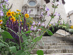 Girona Temps de Flors 2014. L'esgl&eacute;sia de Sant Feliu