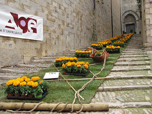Girona Temps de Flors 2014. L'esgl&eacute;sia de Sant Feliu