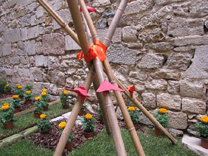 Girona Temps de Flors 2014. L'esgl&eacute;sia de Sant Feliu