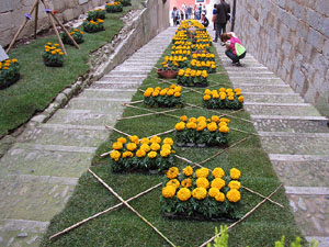 Girona Temps de Flors 2014. L'esgl&eacute;sia de Sant Feliu