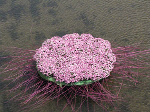 Girona Temps de Flors 2014. L'Onyar i els ponts