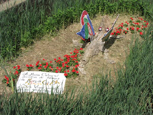 Girona Temps de Flors 2014. L'Onyar i els ponts