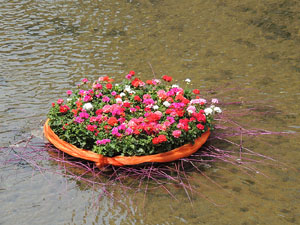 Girona Temps de Flors 2014. L'Onyar i els ponts