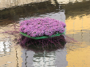 Girona Temps de Flors 2014. L'Onyar i els ponts