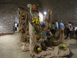 Girona Temps de Flors 2014. Els soterranis de la Catedral