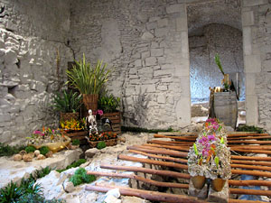 Girona Temps de Flors 2014. Els soterranis de la Catedral