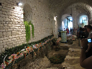 Girona Temps de Flors 2014. Els soterranis de la Catedral