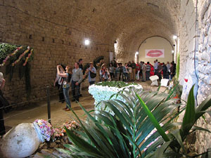 Girona Temps de Flors 2014. Els soterranis de la Catedral