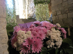 Girona Temps de Flors 2014. Els soterranis de la Catedral