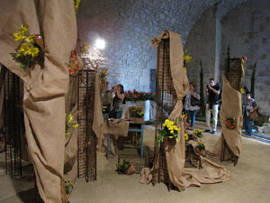 Girona Temps de Flors 2014. Els soterranis de la Catedral