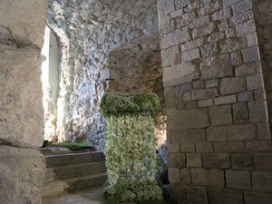Girona Temps de Flors 2014. Els soterranis de la Catedral