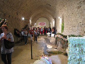 Girona Temps de Flors 2014. Els soterranis de la Catedral