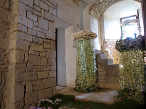 Girona Temps de Flors 2014. Els soterranis de la Catedral