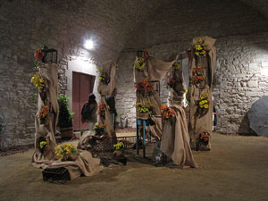 Girona Temps de Flors 2014. Els soterranis de la Catedral