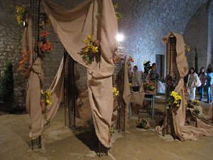Girona Temps de Flors 2014. Els soterranis de la Catedral
