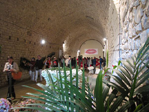 Girona Temps de Flors 2014. Els soterranis de la Catedral
