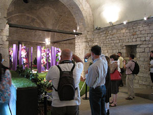 Girona Temps de Flors 2014. Capella de Sant Nicolau, Casa Díaz-Tarragó i Jardí de l'Àngel