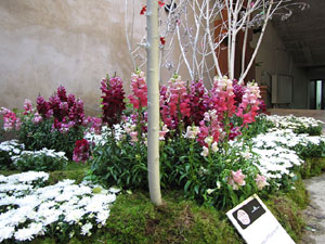 Girona Temps de Flors 2014. Sant Mart&iacute;, Can Forn i Esgl&eacute;sia del Carme