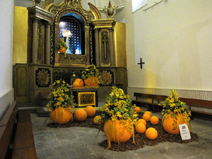 Girona Temps de Flors 2014. Sant Mart&iacute;, Can Forn i Esgl&eacute;sia del Carme