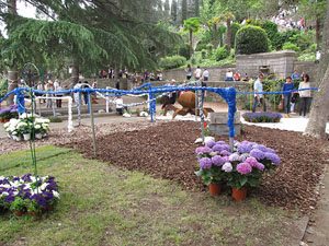 Girona Temps de Flors 2014. El Passeig Arqueol&ograve;gic