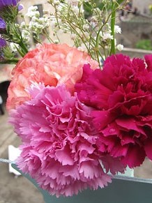 Girona Temps de Flors 2014. El Passeig Arqueol&ograve;gic