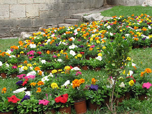Girona Temps de Flors 2014. Jardins del Dr. Figueres -  Plaça dels Jurats
