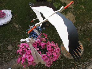 Girona Temps de Flors 2014. Casa Pastors i voltants de la Catedral