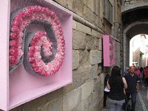 Girona Temps de Flors 2014. Casa Pastors i voltants de la Catedral