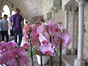 Girona Temps de Flors 2014. El claustre de la Catedral
