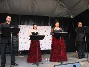 Girona Temps de Flors 2014. Música i Flors: actuacions musicals a Girona