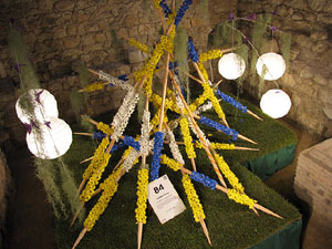 Girona Temps de Flors 2014. Els Banys &Agrave;rabs