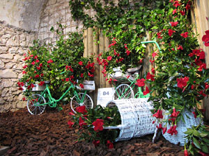Girona Temps de Flors 2014. Els Banys &Agrave;rabs