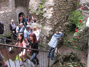 Girona Temps de Flors 2014. Els Banys &Agrave;rabs