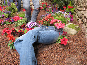 Girona Temps de Flors 2014. Els Banys &Agrave;rabs