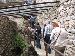 Girona Temps de Flors 2014. Els Banys &Agrave;rabs
