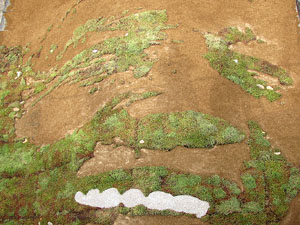 Girona Temps de Flors 2014. Els Banys &Agrave;rabs