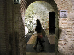 Girona Temps de Flors 2014. La Nit dels Museus