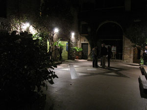 Girona Temps de Flors 2014. La Nit dels Museus