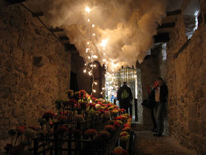 Girona Temps de Flors 2014. La Casa Lle&oacute; Avinay