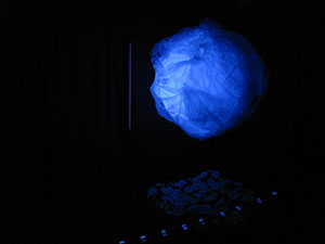 Girona Temps de Flors 2014. La Casa Lle&oacute; Avinay