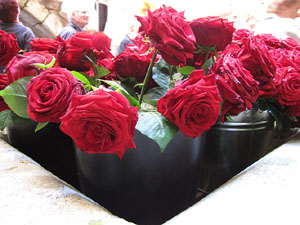 Girona Temps de Flors 2014. La Casa Lle&oacute; Avinay