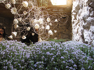 Girona Temps de Flors 2014. La Casa Lle&oacute; Avinay