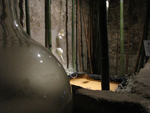 Girona Temps de Flors 2014. La Casa Lle&oacute; Avinay