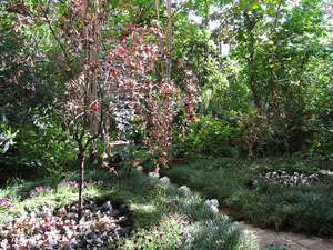 Girona Temps de Flors 2014. La Casa Lle&oacute; Avinay