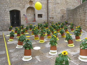 Girona Temps de Flors 2014. Sant Pere de Galligants