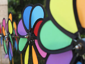 Girona Temps de Flors 2014. Sant Pere de Galligants